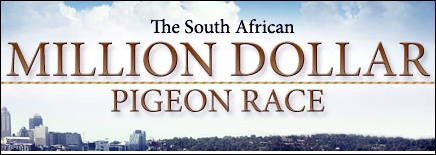 Гълъбодрум южна Африка - South African Million Dollar Pigeon Race