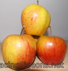 Ябълки за домашен ябълков оцет