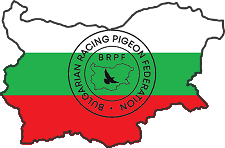 Българска Федерация на спортните гълъби /Bulgarian Racing Pigeon Federation BRPF/